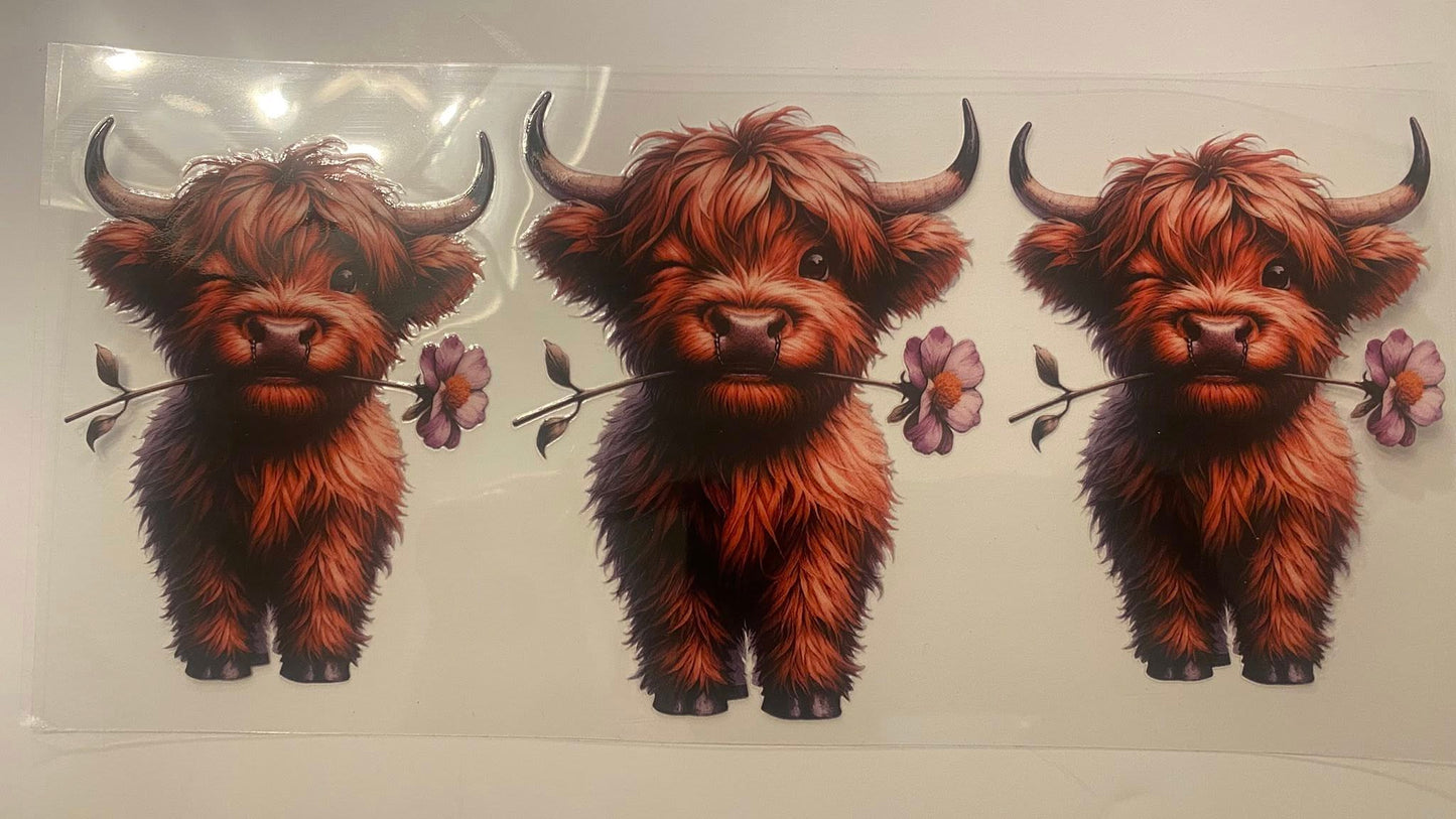 Decals - Animals